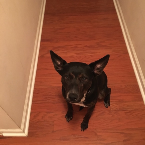 Meet your Posher, Christina - Picture 1 of 1